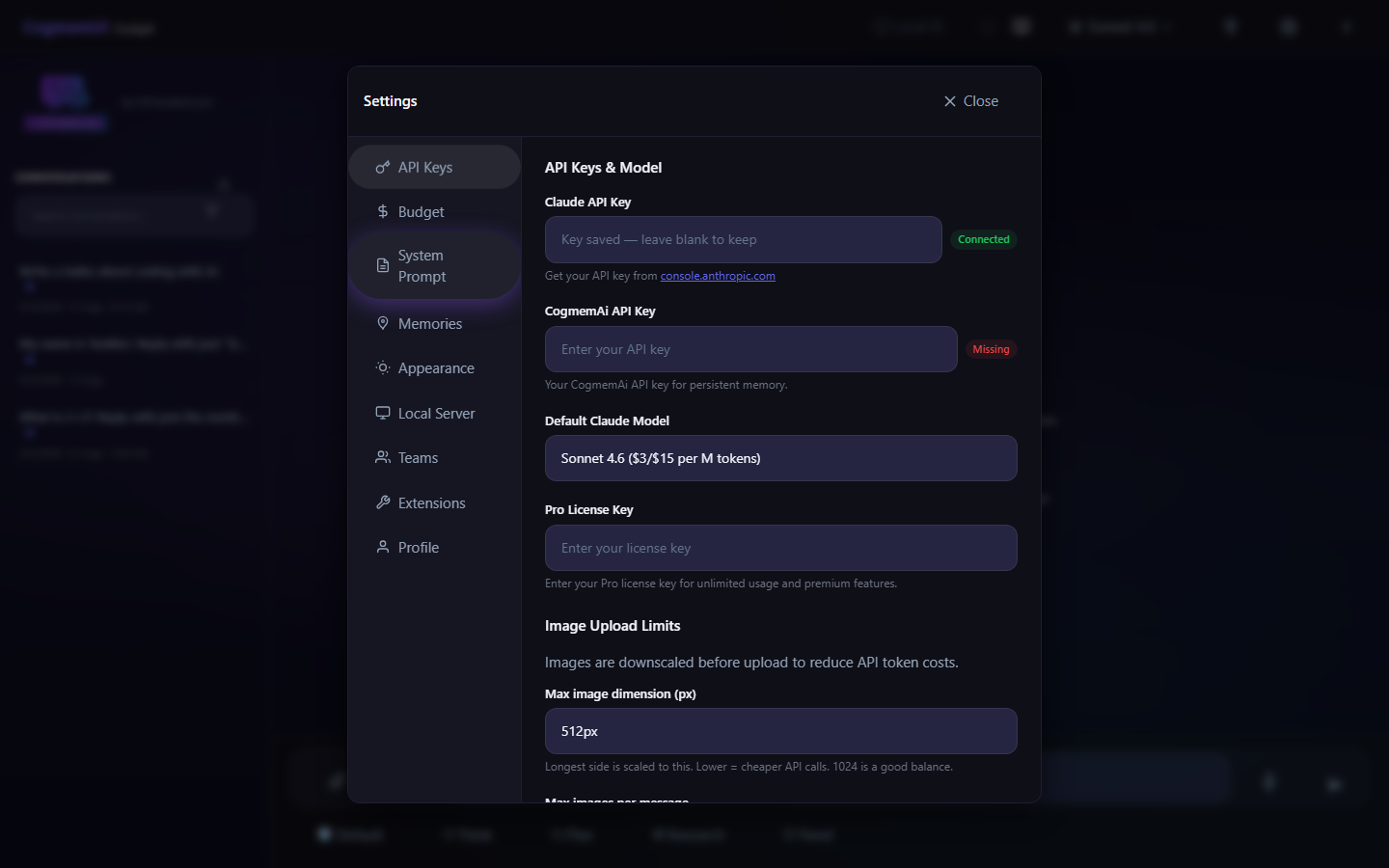 CogmemUI Settings — API Keys in dark theme